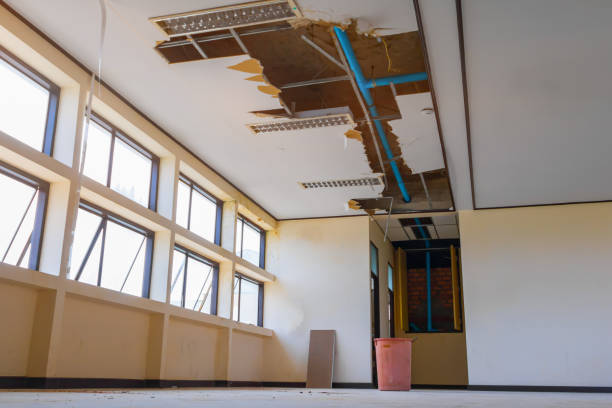 Best Water damage restoration insurance claims  in Edmonston, MD