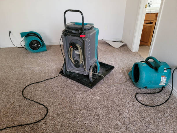 Best Emergency water damage restoration  in Edmonston, MD