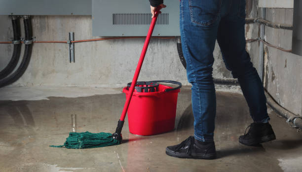 Best Fire Damage Restoration  in Edmonston, MD
