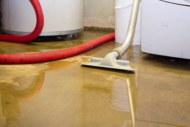 Best Residential water damage restoration  in Edmonston, MD
