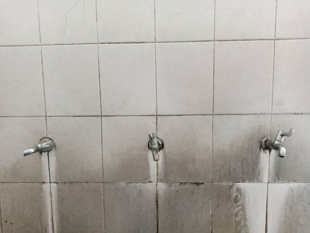 Best Ceiling water damage repair  in Edmonston, MD