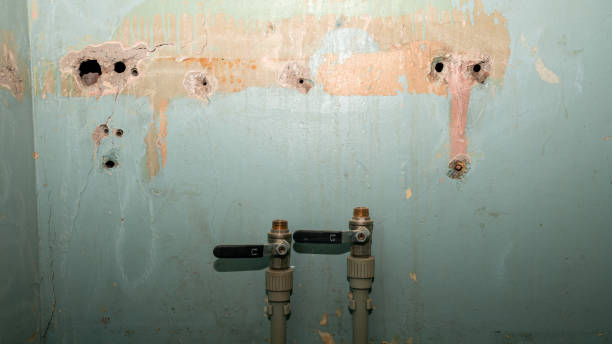 Best 24/7 water damage repair  in Edmonston, MD