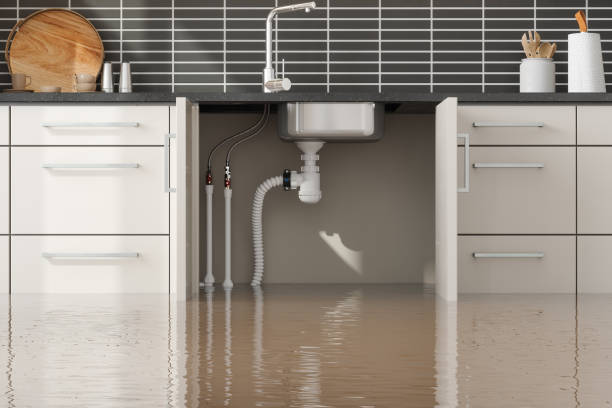 Best Flood restoration services  in Edmonston, MD